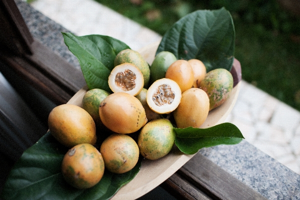 Plant fruit leaf flower Photo