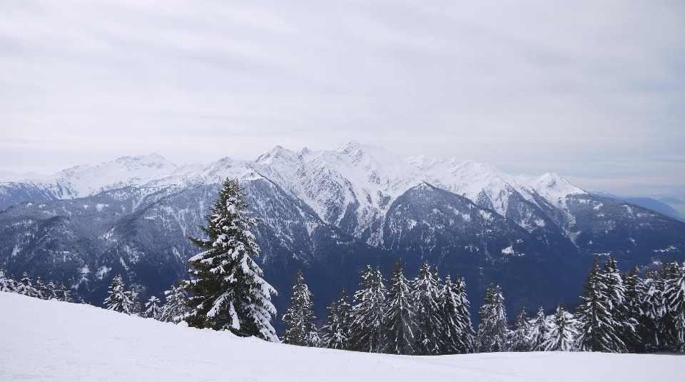 Arbre montagne neige hiver