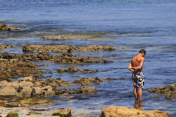 Beach sea coast water Photo