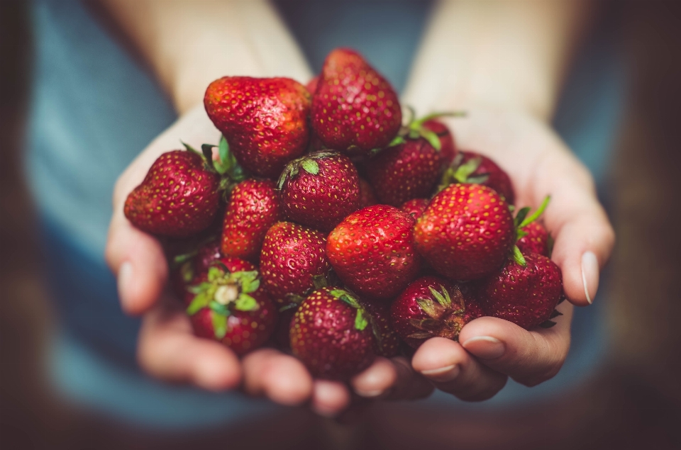 Planta fruta baya alimento