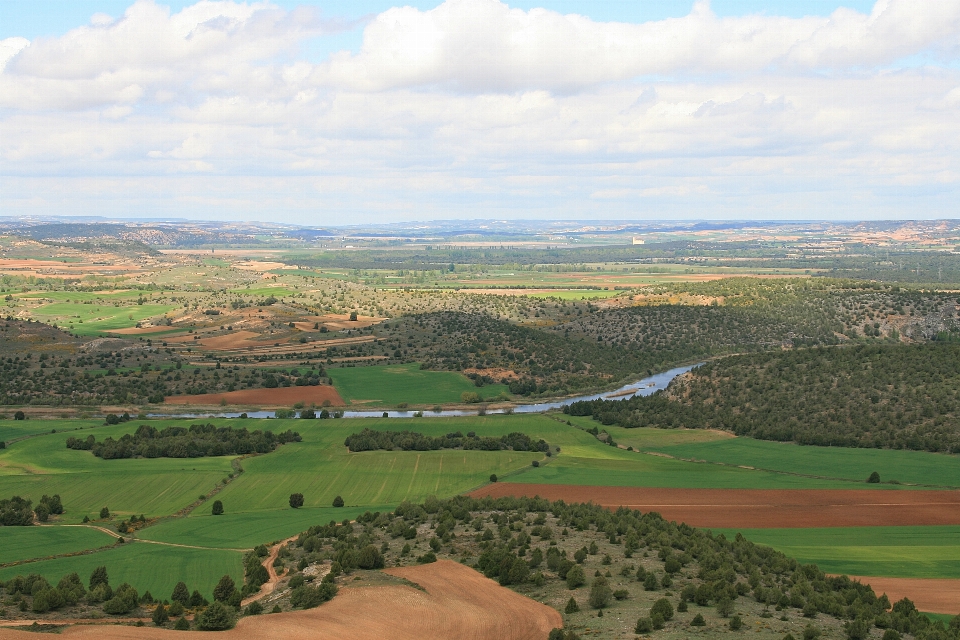 Landschaft struktur feld hügel