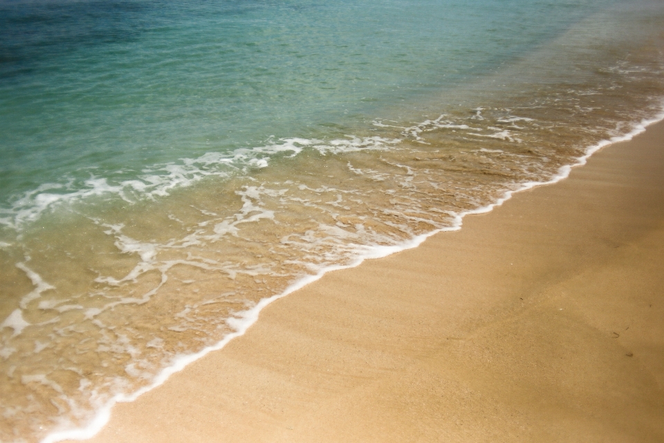 Beach sea coast water