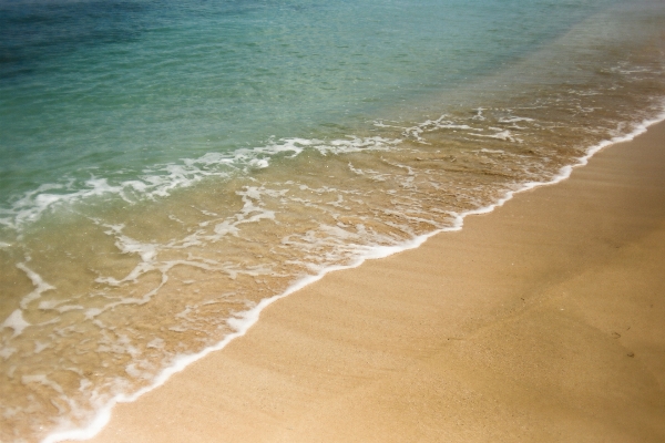 Beach sea coast water Photo