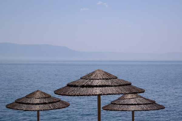 Beach sea coast water Photo