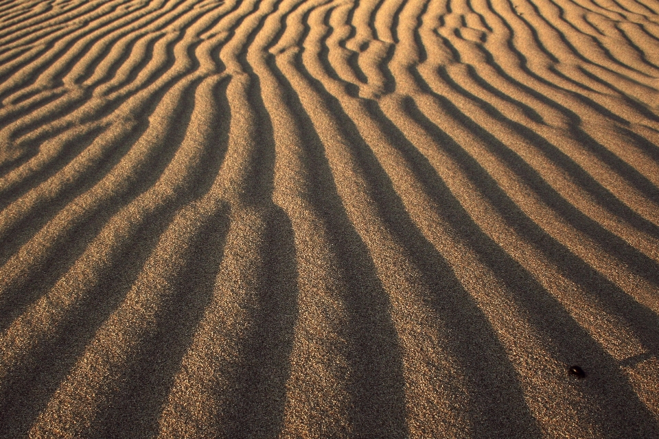 Landscape sand field arid