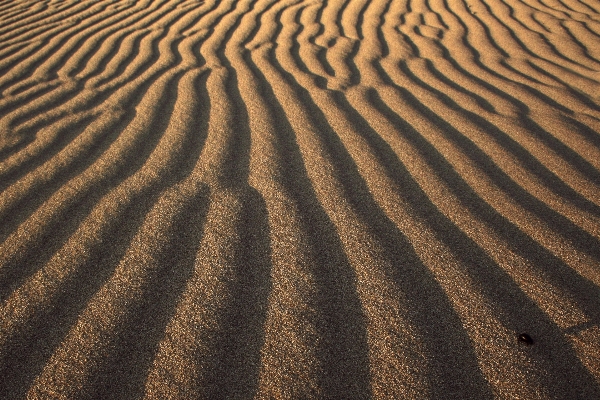 Landscape sand field arid Photo