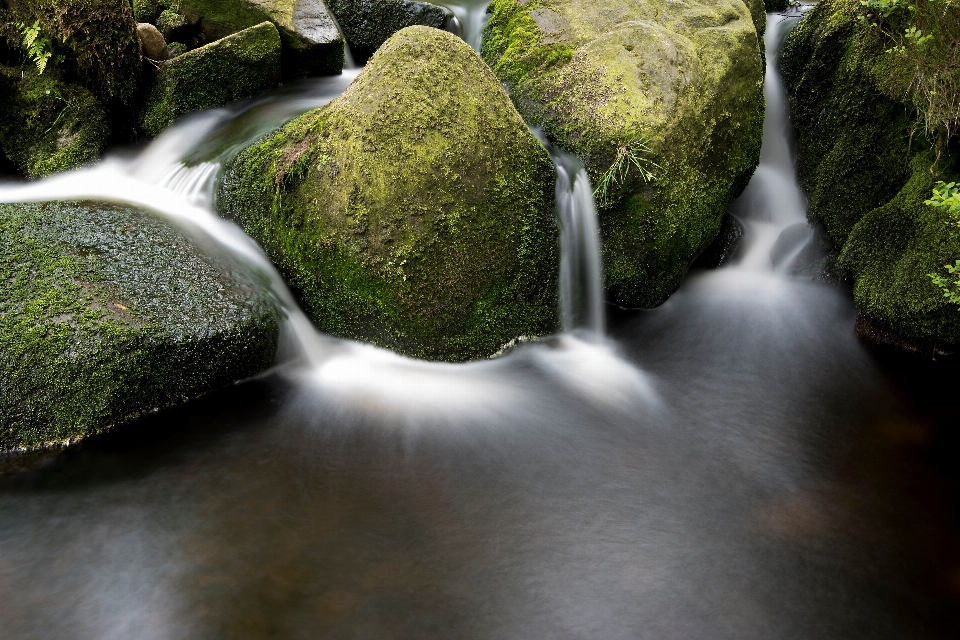 Air hutan rock terjun