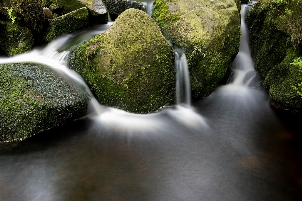 Foto água floresta rock cachoeira