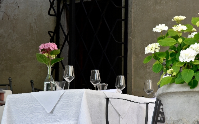 White flower restaurant wall Photo