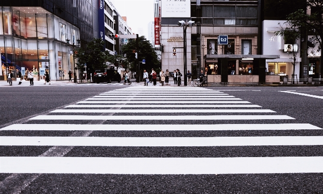 Pedestrian person road street Photo