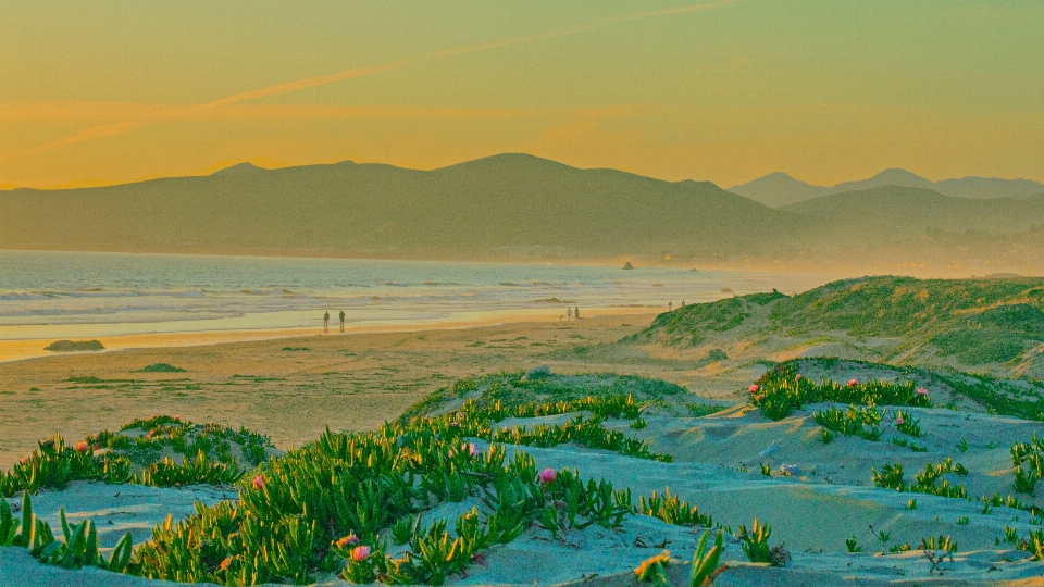 Plage paysage mer côte