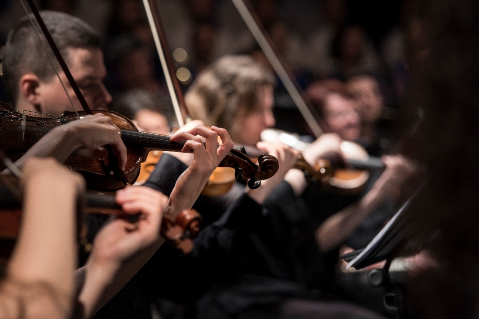 Persona musica corda concerto