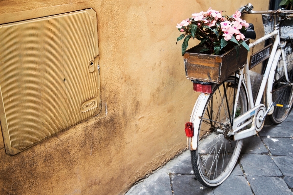 Wood street wheel flower Photo