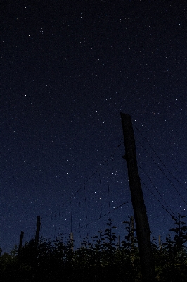 Fence sky night star Photo