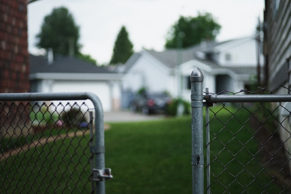 Grass fence lawn house Photo