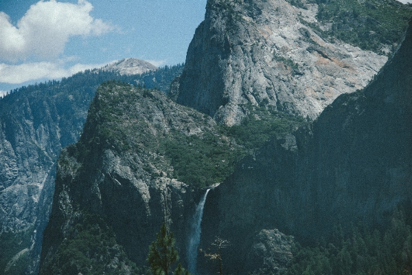 Tree nature waterfall mountain Photo