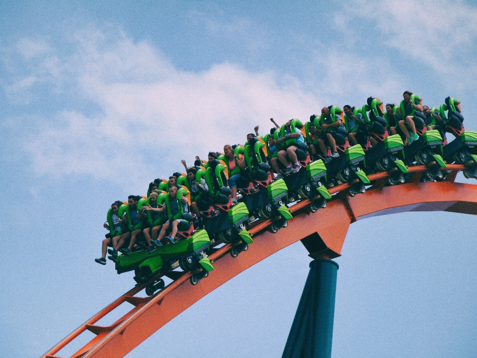 Izlemek çiçek yeniden yaratma lunapark
