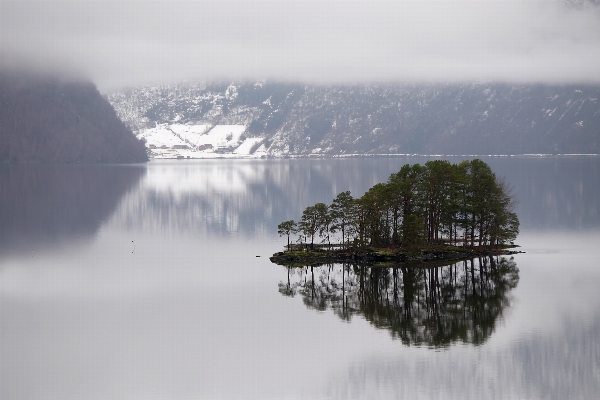 Landscape sea tree water Photo