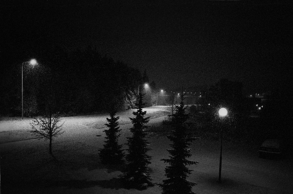 Neige lumière noir et blanc
 brouillard