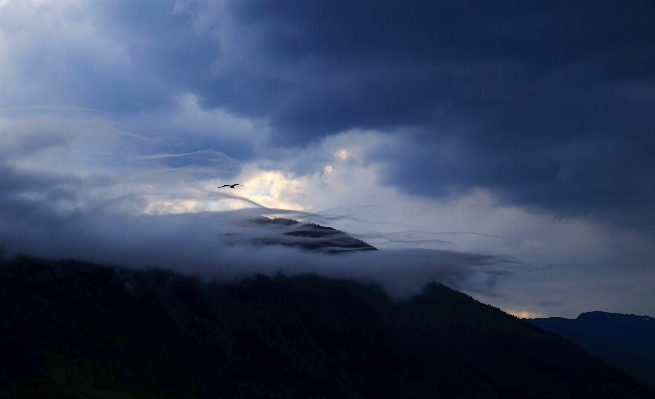 Sea horizon mountain bird Photo