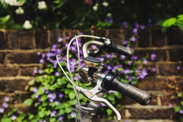 Licht blume fahrrad glocke Foto