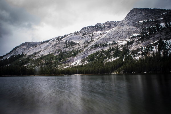 Landscape tree water nature Photo