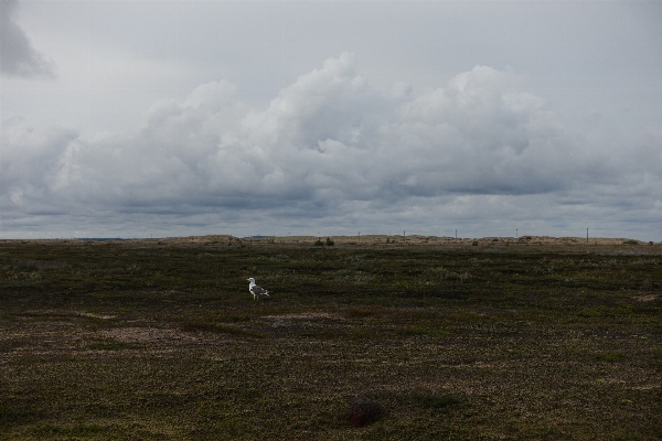 Landscape sea coast nature Photo