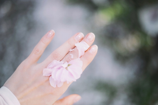 Hand blossom plant woman Photo