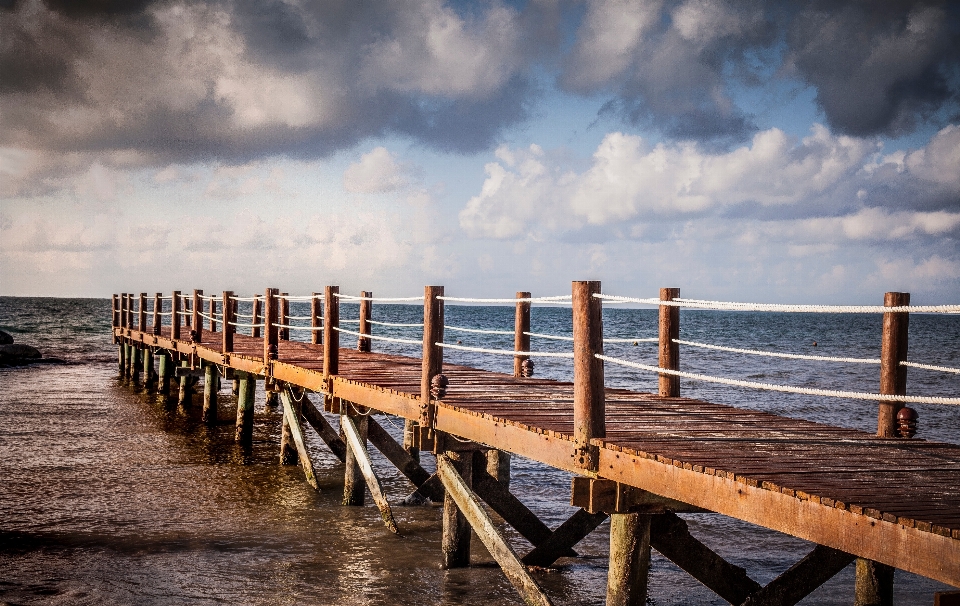 Beach sea coast water