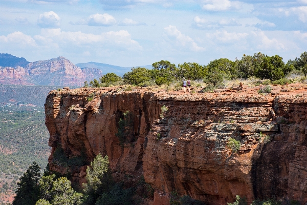 Tree rock mountain hiking Photo