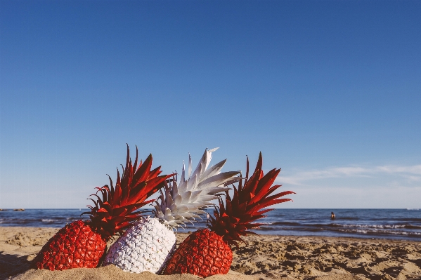 Zdjęcie Plaża morze wybrzeże woda