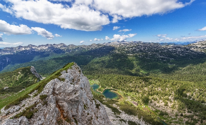 Landscape forest rock wilderness Photo