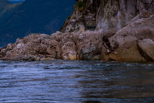 風景 海 海岸 水 写真