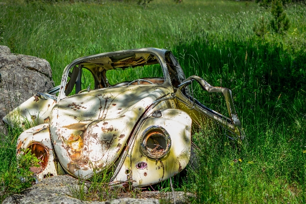 草 車 フォルクスワーゲン
 さび 写真