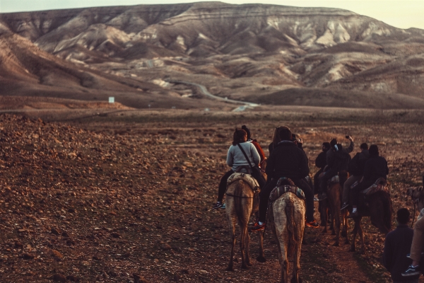 Landscape person mountain desert Photo