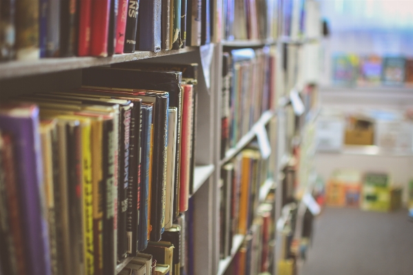 Book building shelf room Photo