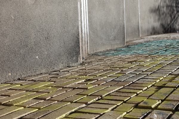 木 道 歩道
 床 写真