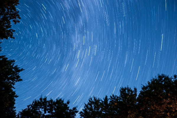 Ağaç doğa gökyüzü gece Fotoğraf