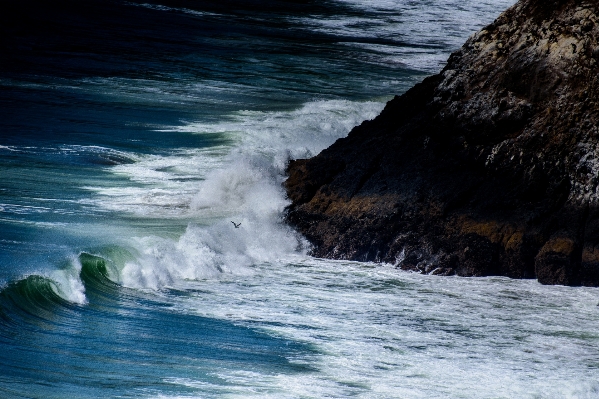 Beach sea coast water Photo