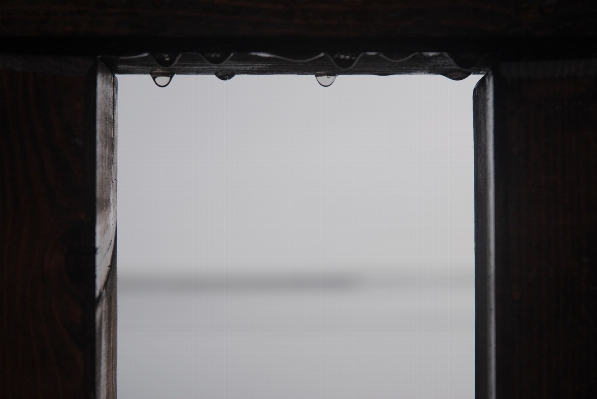 Foto água gotícula madeira chuva