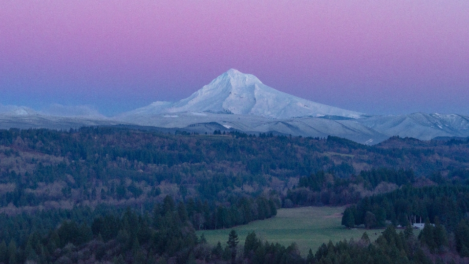 Forest wilderness mountain snow