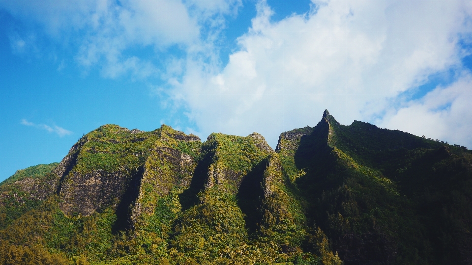 景观 自然 rock 荒野