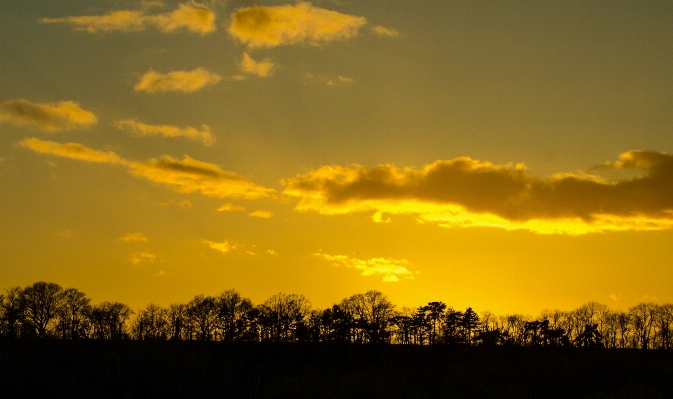 Horizon cloud sky sun Photo