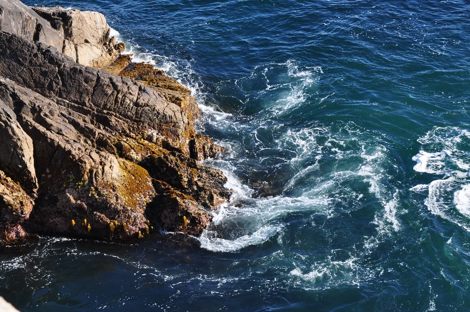 Sea coast water rock