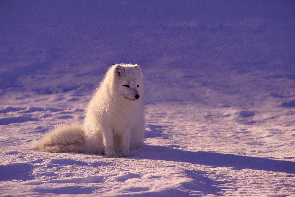 Sea snow winter white