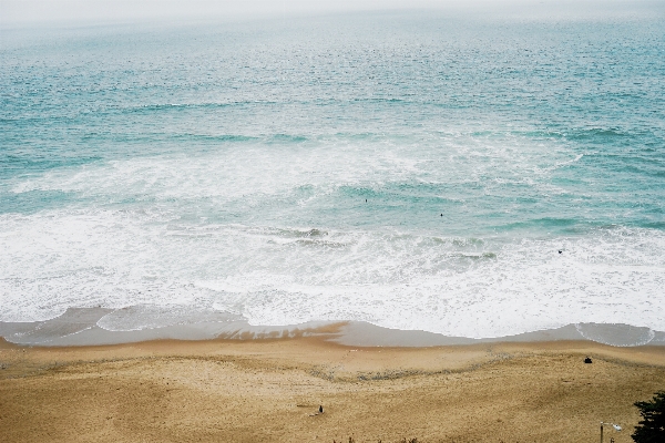 Beach sea coast water Photo