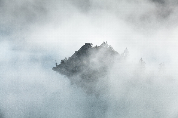 Tree mountain cloud sky Photo