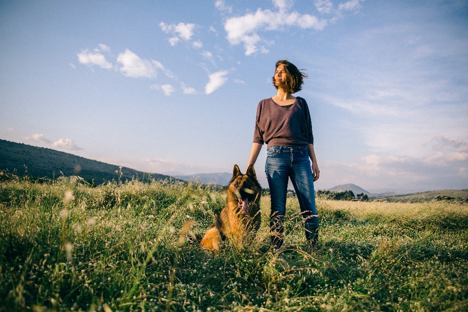 Paysage nature herbe horizon