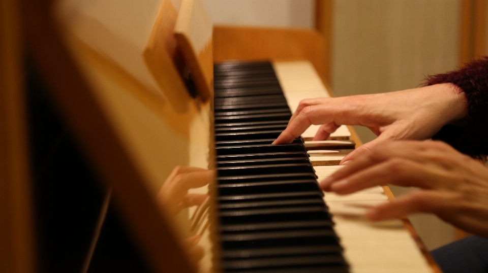 Piano pianist musician musical instrument