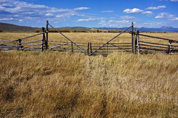 Landscape grass marsh fence Photo